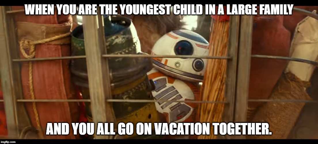BB-Great | WHEN YOU ARE THE YOUNGEST CHILD IN A LARGE FAMILY; AND YOU ALL GO ON VACATION TOGETHER. | image tagged in bb8,starwars,family vacation,the rise of skywalker | made w/ Imgflip meme maker