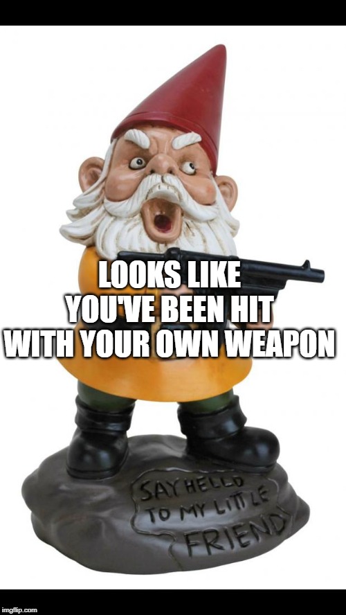 Angry Gnome | LOOKS LIKE YOU'VE BEEN HIT WITH YOUR OWN WEAPON | image tagged in angry gnome | made w/ Imgflip meme maker