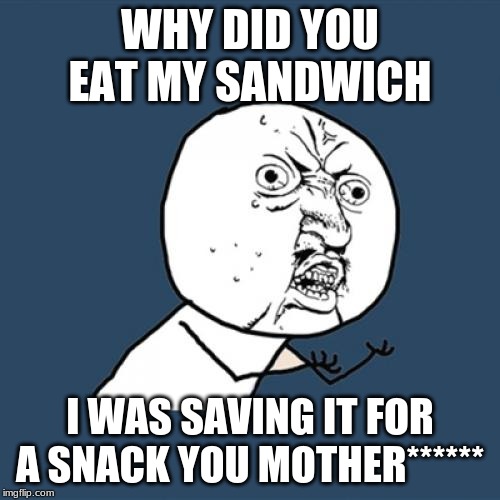 Y U No | WHY DID YOU EAT MY SANDWICH; I WAS SAVING IT FOR A SNACK YOU MOTHER****** | image tagged in memes,y u no | made w/ Imgflip meme maker