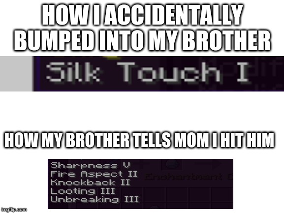 Blank White Template | HOW I ACCIDENTALLY BUMPED INTO MY BROTHER; HOW MY BROTHER TELLS MOM I HIT HIM | image tagged in blank white template,minecraft,brothers,funny | made w/ Imgflip meme maker