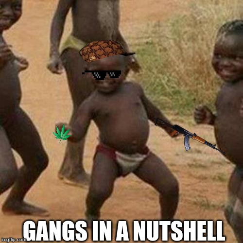 Third World Success Kid Meme | GANGS IN A NUTSHELL | image tagged in memes,third world success kid | made w/ Imgflip meme maker