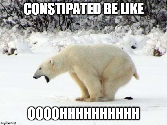 Polar Bear Shits in the Snow | CONSTIPATED BE LIKE; OOOOHHHHHHHHHH | image tagged in polar bear shits in the snow | made w/ Imgflip meme maker