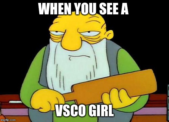 That's a paddlin' Meme | WHEN YOU SEE A; VSCO GIRL | image tagged in memes,that's a paddlin' | made w/ Imgflip meme maker