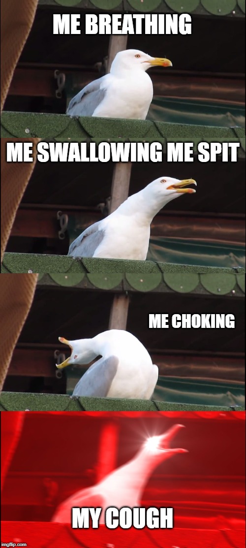 Inhaling Seagull | ME BREATHING; ME SWALLOWING ME SPIT; ME CHOKING; MY COUGH | image tagged in memes,inhaling seagull | made w/ Imgflip meme maker