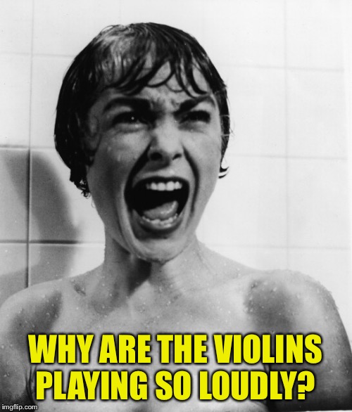 Psycho Scream | WHY ARE THE VIOLINS PLAYING SO LOUDLY? | image tagged in psycho scream | made w/ Imgflip meme maker