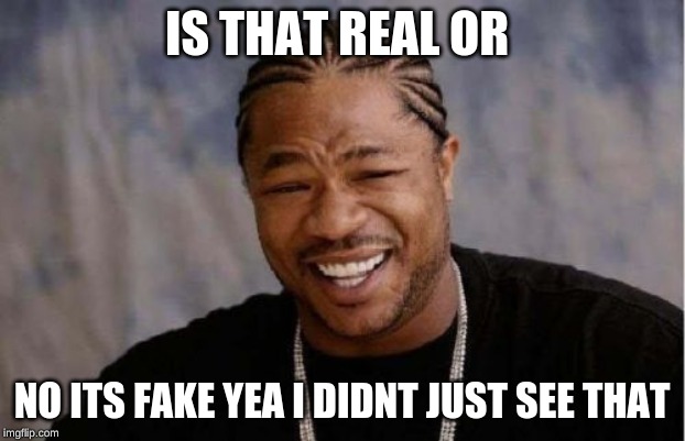 Yo Dawg Heard You Meme | IS THAT REAL OR; NO ITS FAKE YEA I DIDNT JUST SEE THAT | image tagged in memes,yo dawg heard you | made w/ Imgflip meme maker