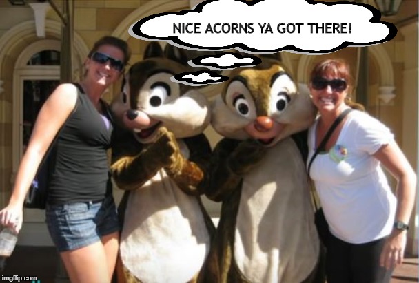 Like What You See? | NICE ACORNS YA GOT THERE! | image tagged in walt disney | made w/ Imgflip meme maker
