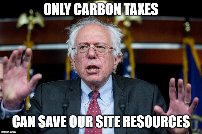 Paris global warming | ONLY CARBON TAXES; CAN SAVE OUR SITE RESOURCES | image tagged in paris global warming | made w/ Imgflip meme maker