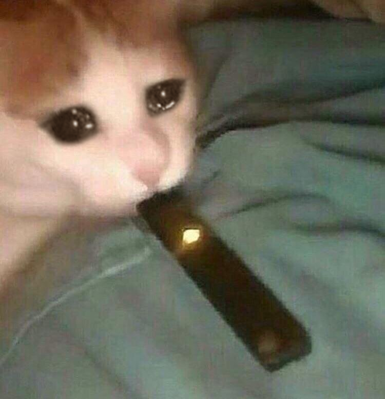 High Quality Sad juul cat Blank Meme Template