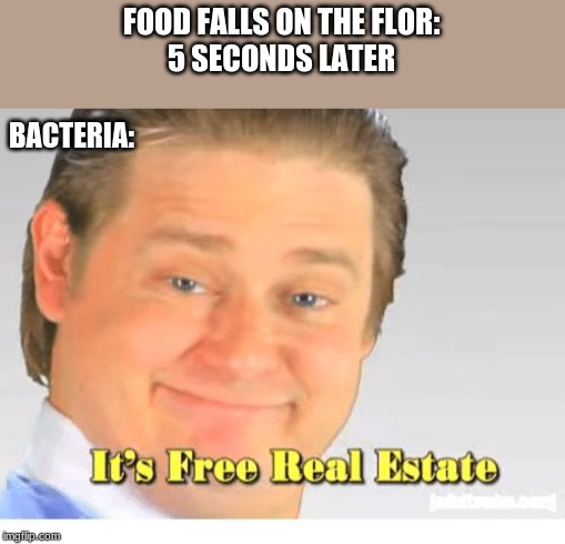 It's Free Real Estate | FOOD FALLS ON THE FLOR:




5 SECONDS LATER; BACTERIA: | image tagged in it's free real estate | made w/ Imgflip meme maker