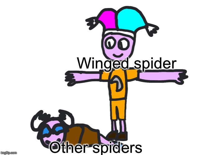 Winged spider Other spiders | image tagged in mark t posing on mando | made w/ Imgflip meme maker