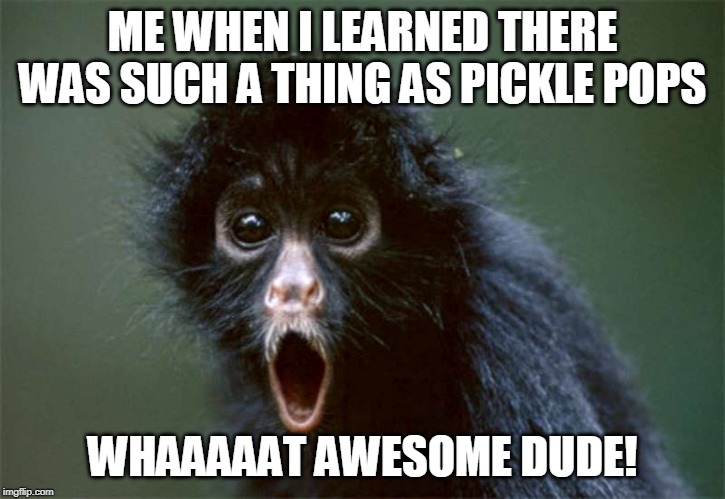Holy Crap Monkey | ME WHEN I LEARNED THERE WAS SUCH A THING AS PICKLE POPS; WHAAAAAT AWESOME DUDE! | image tagged in holy crap monkey | made w/ Imgflip meme maker