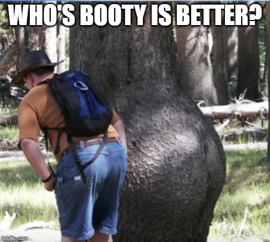 Funny Booty! | WHO'S BOOTY IS BETTER? | image tagged in when you see the booty | made w/ Imgflip meme maker