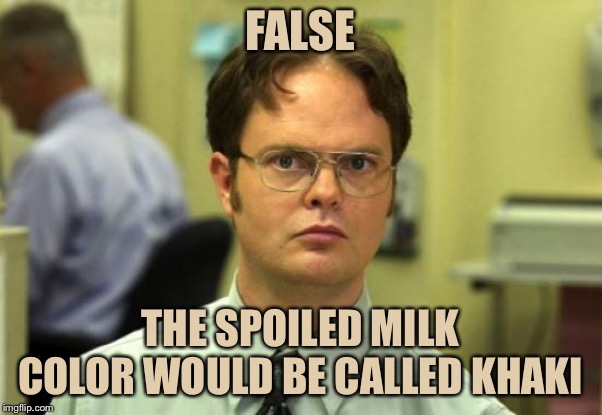 Dwight Schrute Meme | FALSE THE SPOILED MILK COLOR WOULD BE CALLED KHAKI | image tagged in memes,dwight schrute | made w/ Imgflip meme maker