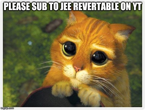Shrek Cat | PLEASE SUB TO JEE REVERTABLE ON YT | image tagged in memes,shrek cat | made w/ Imgflip meme maker