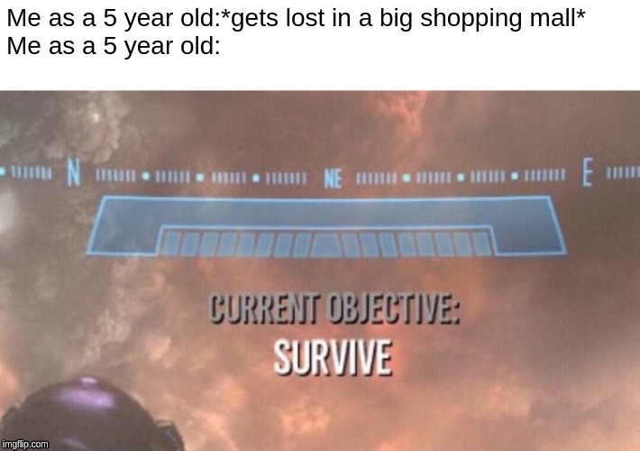 Current Objective: Survive | Me as a 5 year old:*gets lost in a big shopping mall*
Me as a 5 year old: | image tagged in current objective survive | made w/ Imgflip meme maker