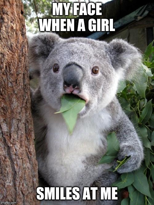Surprised Koala | MY FACE WHEN A GIRL; SMILES AT ME | image tagged in memes,surprised koala | made w/ Imgflip meme maker