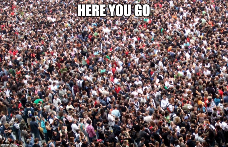 crowd of people | HERE YOU GO | image tagged in crowd of people | made w/ Imgflip meme maker