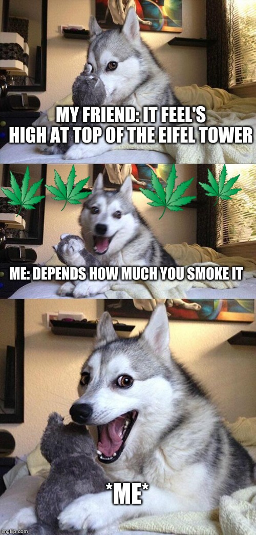 Bad Pun Dog Meme | MY FRIEND: IT FEEL'S HIGH AT TOP OF THE EIFEL TOWER; ME: DEPENDS HOW MUCH YOU SMOKE IT; *ME* | image tagged in memes,bad pun dog | made w/ Imgflip meme maker