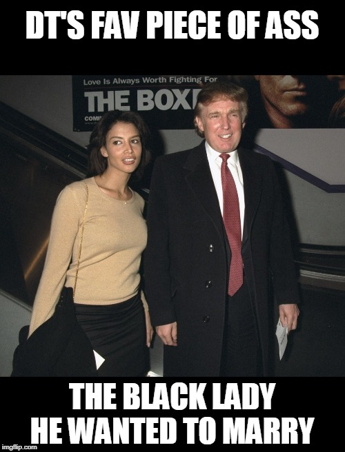 Racist fail | DT'S FAV PIECE OF ASS THE BLACK LADY HE WANTED TO MARRY | image tagged in racist fail | made w/ Imgflip meme maker