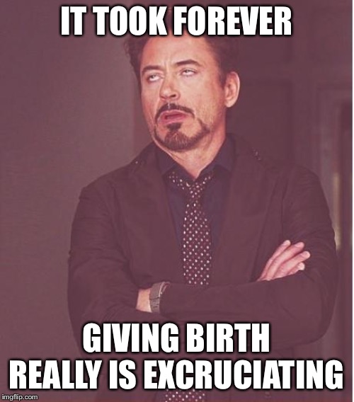 Face You Make Robert Downey Jr Meme | IT TOOK FOREVER GIVING BIRTH REALLY IS EXCRUCIATING | image tagged in memes,face you make robert downey jr | made w/ Imgflip meme maker