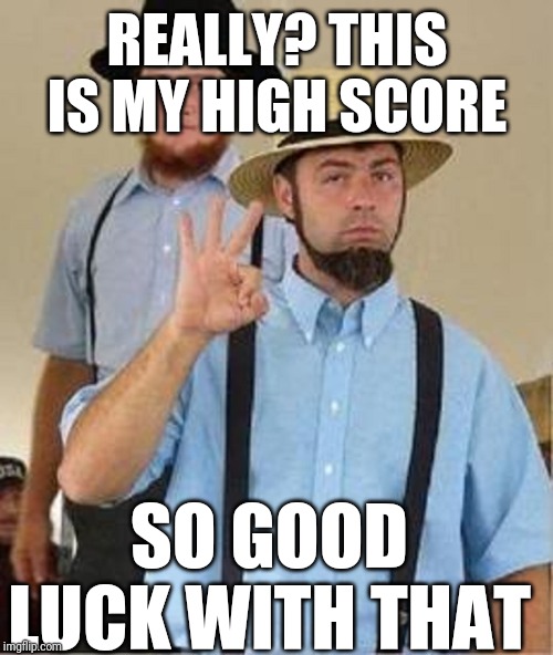 Amish Approved | REALLY? THIS IS MY HIGH SCORE SO GOOD LUCK WITH THAT | image tagged in amish approved | made w/ Imgflip meme maker