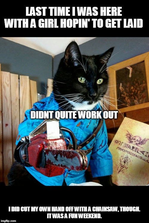 CAT VS THE EVIL DEAD | LAST TIME I WAS HERE WITH A GIRL HOPIN' TO GET LAID; DIDNT QUITE WORK OUT; I DID CUT MY OWN HAND OFF WITH A CHAINSAW, THOUGH.
IT WAS A FUN WEEKEND. | image tagged in ash vs evil dead,cats,spooktober | made w/ Imgflip meme maker