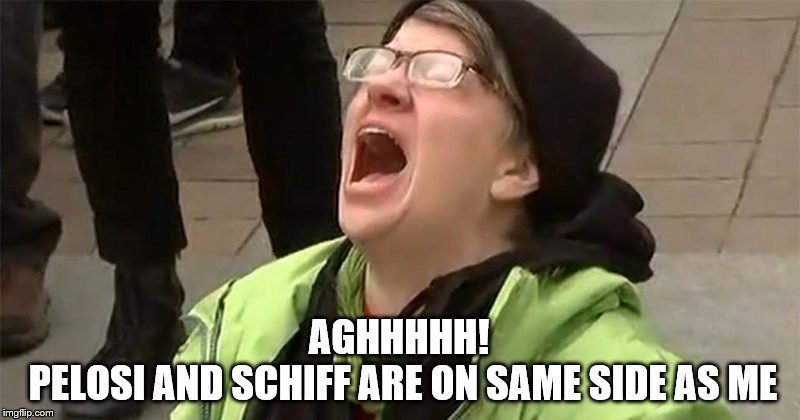 When a crybaby liberal knows they're in trouble | AGHHHHH! 
PELOSI AND SCHIFF ARE ON SAME SIDE AS ME | image tagged in crying liberal,memes,funny memes,politics | made w/ Imgflip meme maker