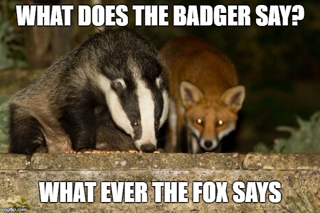 What does the badger say? | WHAT DOES THE BADGER SAY? WHAT EVER THE FOX SAYS | image tagged in memes,badger,fox,badger and fox,dank memes,funny memes | made w/ Imgflip meme maker