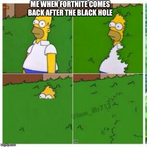 Homer hides | ME WHEN FORTNITE COMES BACK AFTER THE BLACK HOLE | image tagged in homer hides | made w/ Imgflip meme maker