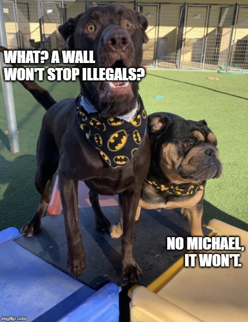 I just found out | WHAT? A WALL WON'T STOP ILLEGALS? NO MICHAEL, IT WON'T. | image tagged in i just found out | made w/ Imgflip meme maker