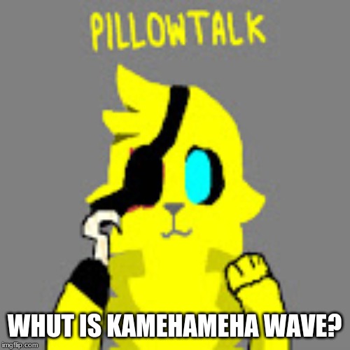 WHUT IS KAMEHAMEHA WAVE? | made w/ Imgflip meme maker