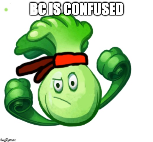 BC IS CONFUSED | made w/ Imgflip meme maker