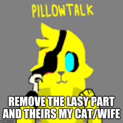 REMOVE THE LASY PART AND THEIRS MY CAT/WIFE | made w/ Imgflip meme maker