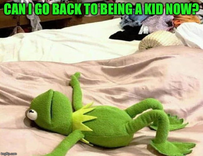 Frog messy room | CAN I GO BACK TO BEING A KID NOW? | image tagged in frog messy room | made w/ Imgflip meme maker