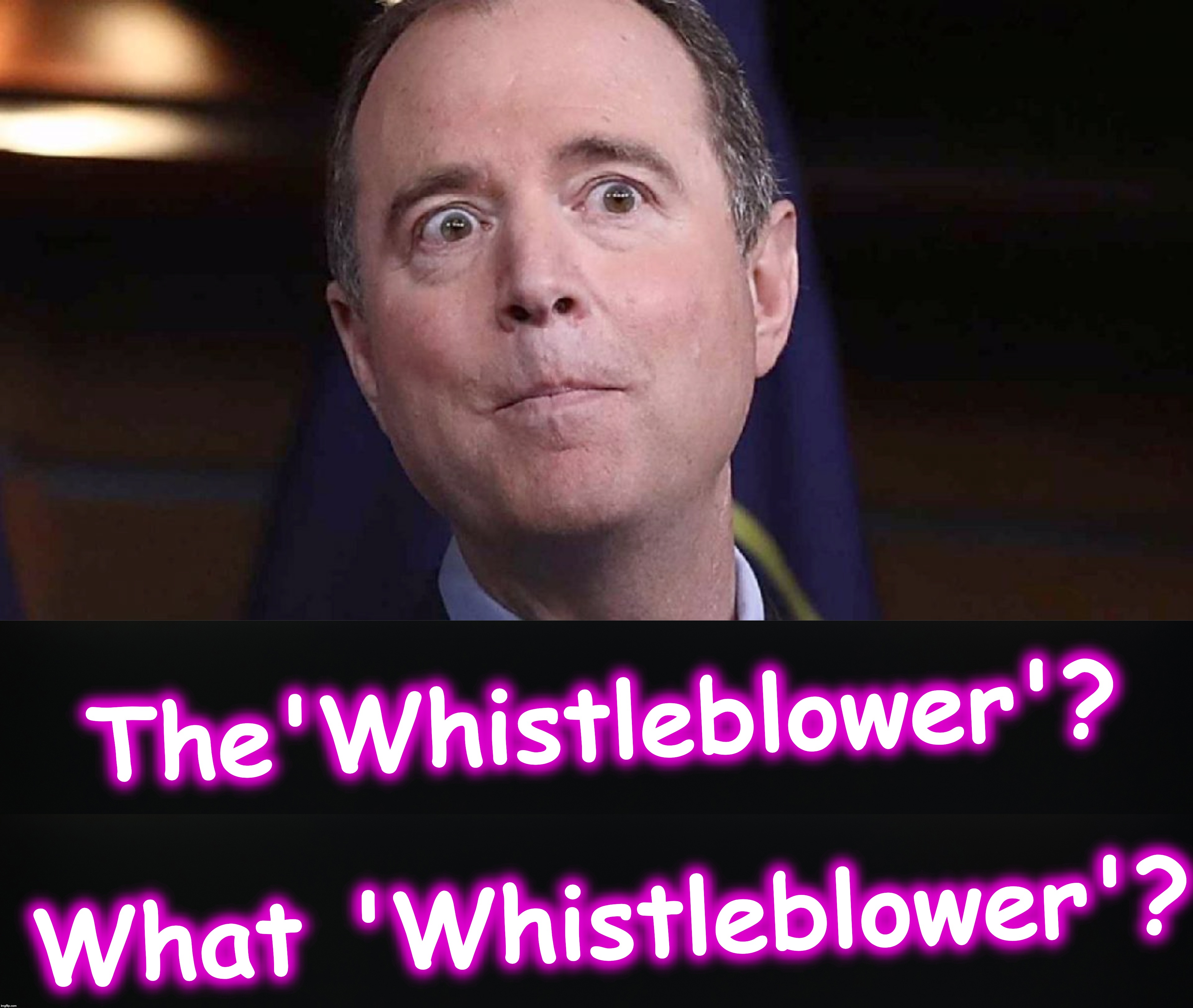 Squid pro Roe | The'Whistleblower'?
   
What 'Whistleblower'? | image tagged in adam schiff,weasel | made w/ Imgflip meme maker