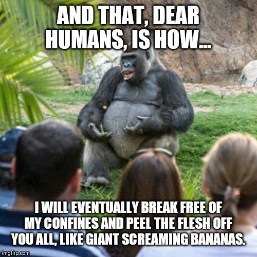 Professor Gorilla | AND THAT, DEAR HUMANS, IS HOW... I WILL EVENTUALLY BREAK FREE OF MY CONFINES AND PEEL THE FLESH OFF YOU ALL, LIKE GIANT SCREAMING BANANAS. | image tagged in professor gorilla | made w/ Imgflip meme maker
