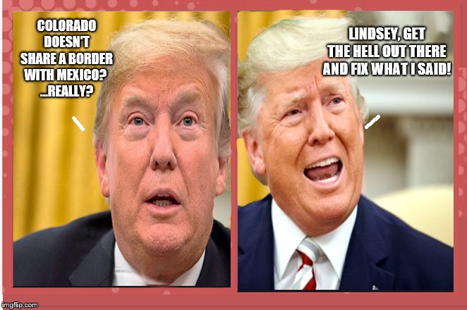 Lindsey - His Best Boy... | LINDSEY, GET THE HELL OUT THERE AND FIX WHAT I SAID! COLORADO DOESN'T SHARE A BORDER WITH MEXICO? 
...REALLY? | image tagged in lindsey graham,donald trump,impeach trump,moron | made w/ Imgflip meme maker