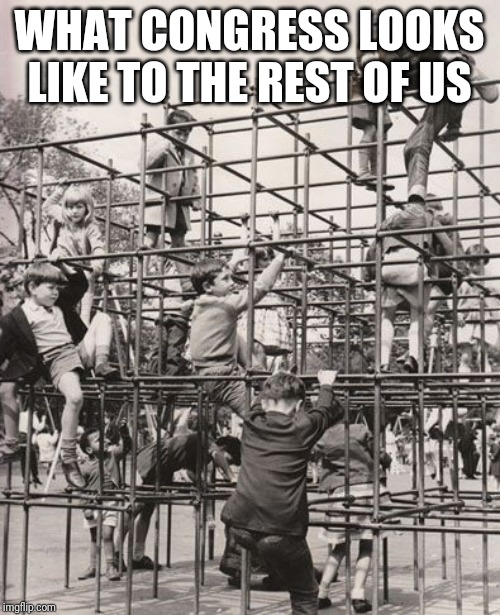 What Congress looks like | WHAT CONGRESS LOOKS LIKE TO THE REST OF US | image tagged in monkey bars,congress | made w/ Imgflip meme maker