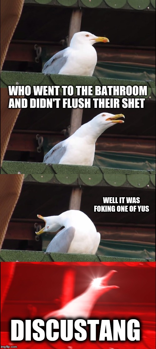Inhaling Seagull | WHO WENT TO THE BATHROOM AND DIDN'T FLUSH THEIR SHET; WELL IT WAS FOKING ONE OF YUS; DISCUSTANG | image tagged in memes,inhaling seagull | made w/ Imgflip meme maker