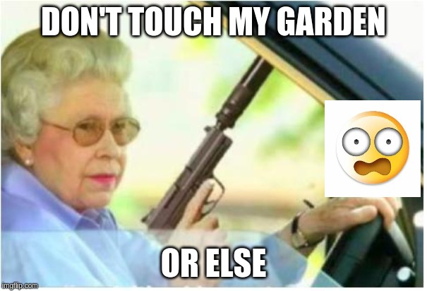 grandma gun weeb killer | DON'T TOUCH MY GARDEN; OR ELSE | image tagged in grandma gun weeb killer | made w/ Imgflip meme maker