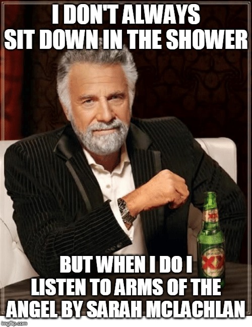 I DON'T ALWAYS SIT DOWN IN THE SHOWER; BUT WHEN I DO I LISTEN TO ARMS OF THE ANGEL BY SARAH MCLACHLAN | image tagged in funny,sarah mclachlan,angel | made w/ Imgflip meme maker