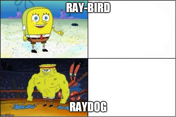 Weak vs Strong Spongebob |  RAY-BIRD; RAYDOG | image tagged in weak vs strong spongebob | made w/ Imgflip meme maker