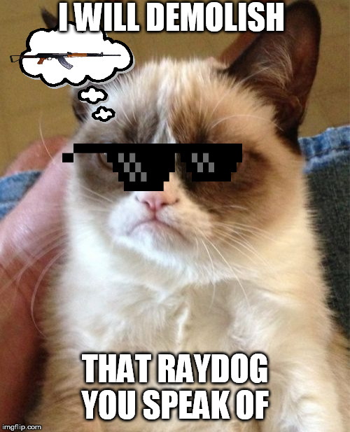 Grumpy Cat Meme |  I WILL DEMOLISH; THAT RAYDOG YOU SPEAK OF | image tagged in memes,grumpy cat | made w/ Imgflip meme maker