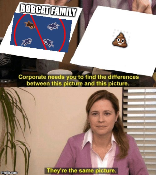 They're The Same Picture | BOBCAT FAMILY; 💩 | image tagged in office same picture | made w/ Imgflip meme maker