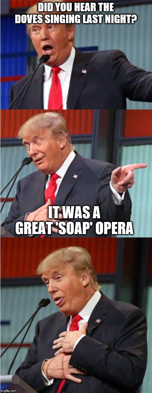 Bad Pun Trump | DID YOU HEAR THE DOVES SINGING LAST NIGHT? IT WAS A GREAT 'SOAP' OPERA | image tagged in bad pun trump | made w/ Imgflip meme maker