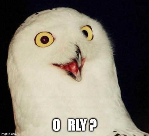 orly owl | O   RLY ? | image tagged in orly owl | made w/ Imgflip meme maker