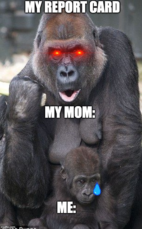 Mad Momma | MY REPORT CARD; MY MOM:; ME: | image tagged in mad momma | made w/ Imgflip meme maker