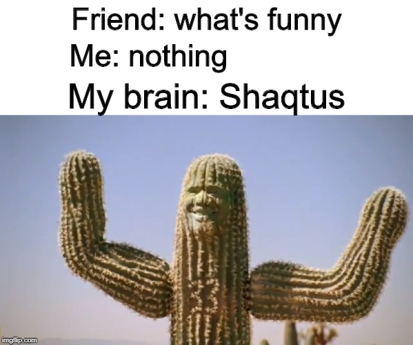 Shaqtus | Friend: what's funny; Me: nothing; My brain: Shaqtus | image tagged in shaqtus | made w/ Imgflip meme maker