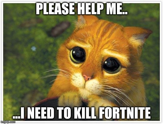 Shrek Cat Meme | PLEASE HELP ME.. ...I NEED TO KILL FORTNITE | image tagged in memes,shrek cat | made w/ Imgflip meme maker